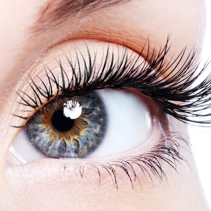Eyelash Tinting ONLY