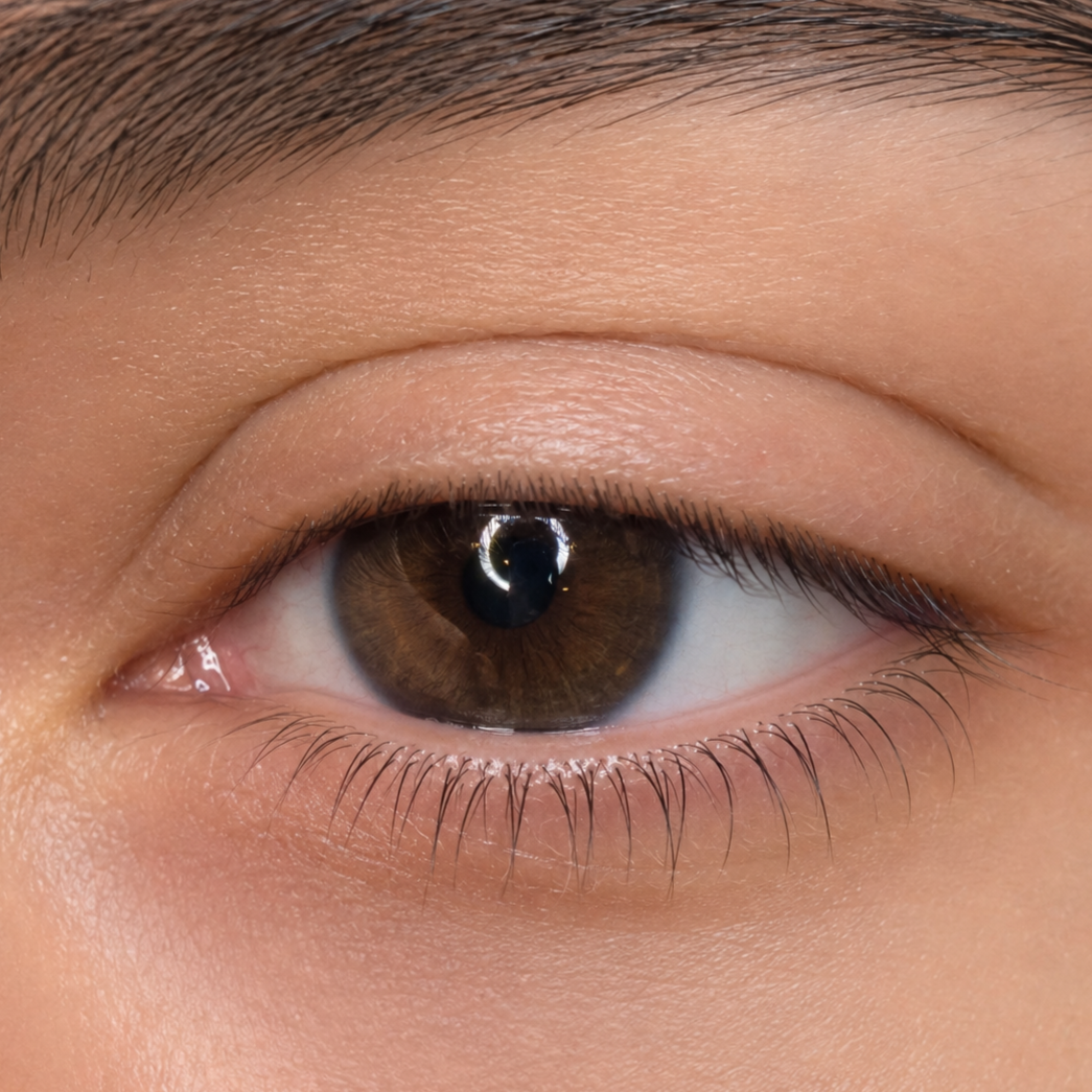 Bottom Lash Lift at Lashmor Studio in Anaheim, CA