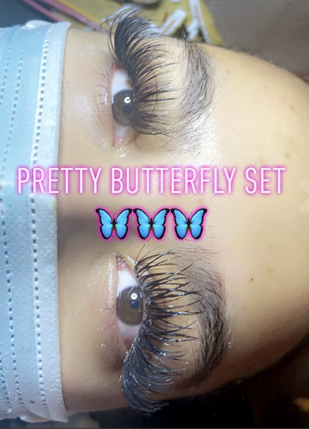 Butterfly 🦋Volume Set