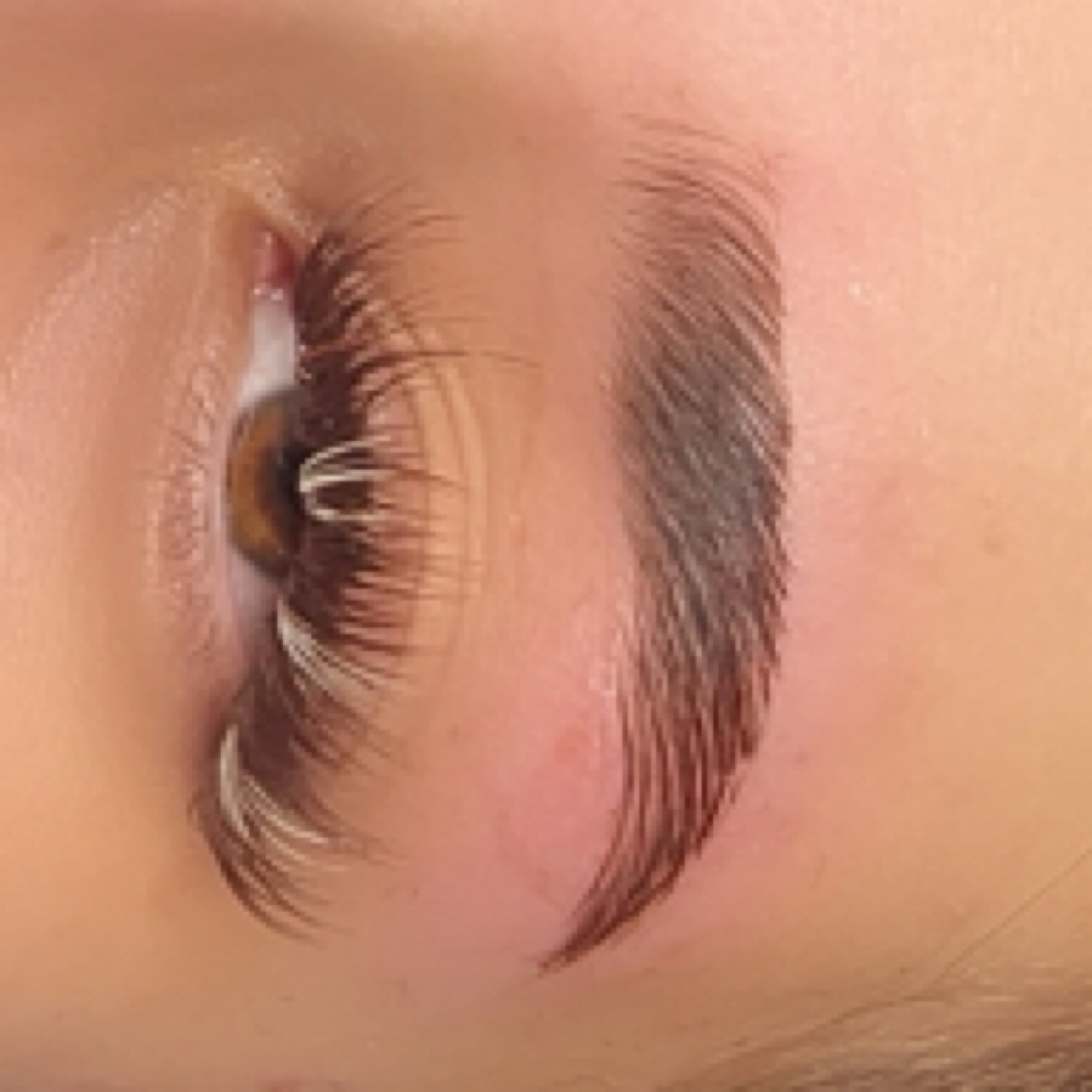 Brow Tint at Marisa's Lash House in San Antonio, TX