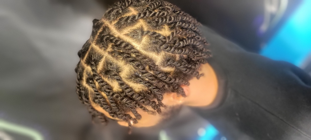 Two-Strand Twists (Natural Hair)