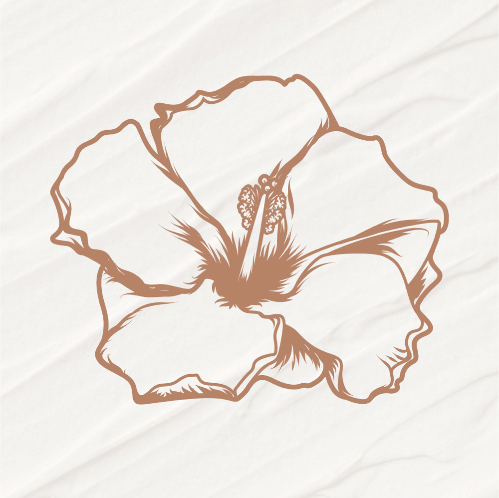 The Kiwani Signature Facial ™ at Kiwani Beauty in Spokane, WA