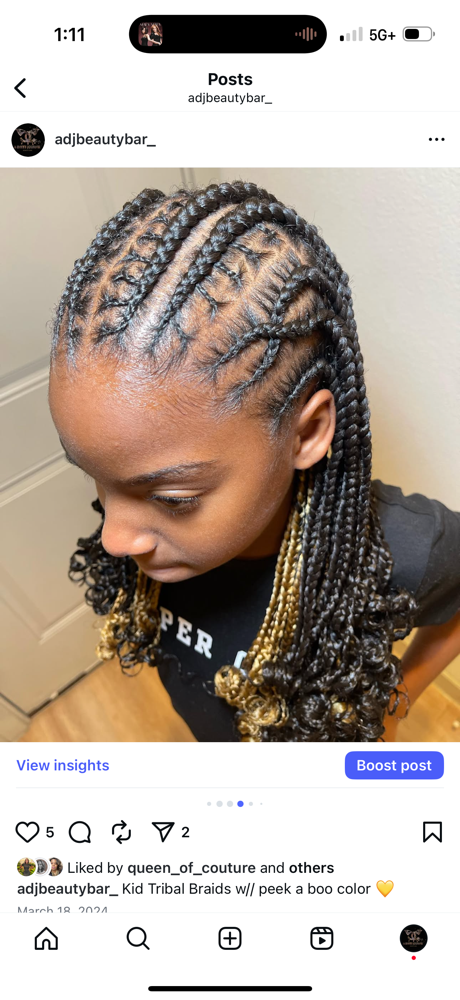 Fulani/ Tribal Braids at A Daye’s Journei Beauty Bar in DeSoto, TX