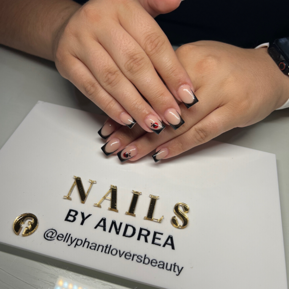 Level 2 Full Sets/Fills/Overlays at Ellyphantlovers Beauty in Okeechobee, FL