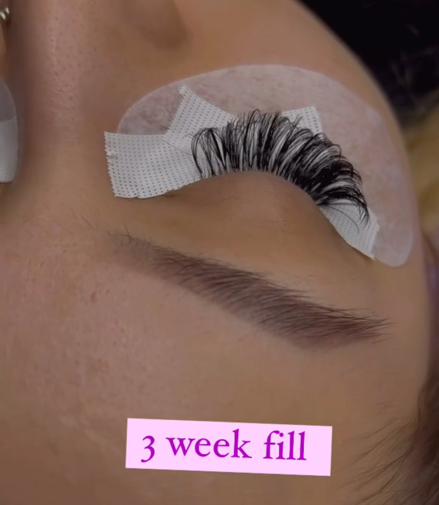 3 Week Lash Fill(3 Semana- Relleno de pestañas)