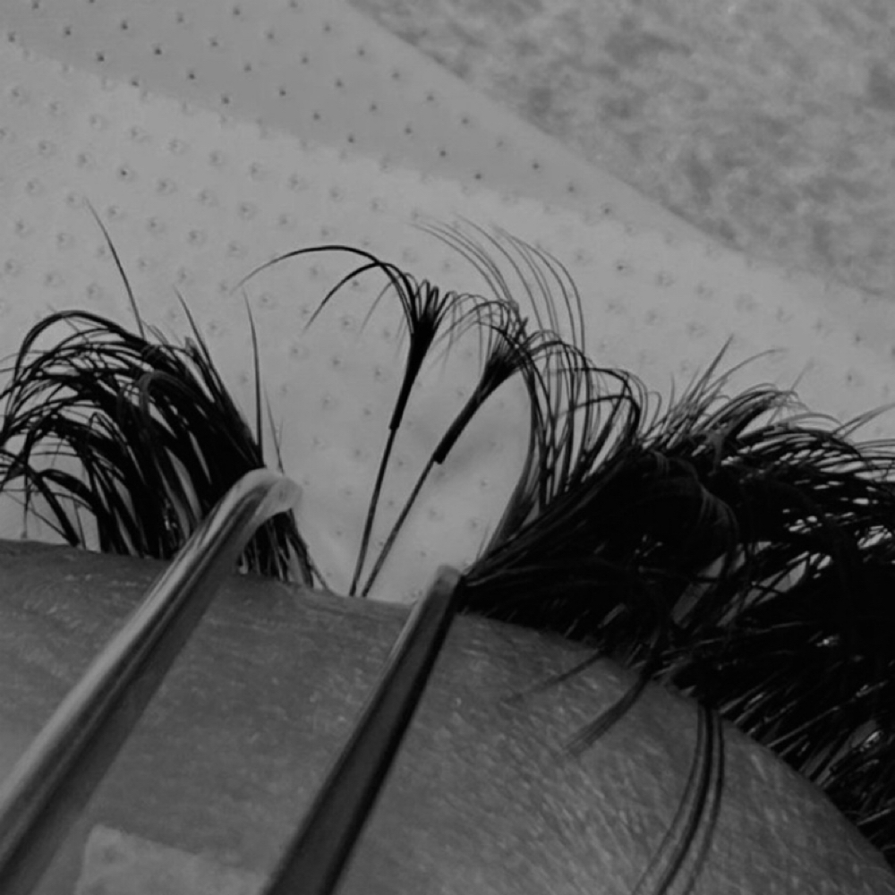 3 Week Lash Fill(3 Semana- Relleno de pestañas) at La Mona Studio in Pflugerville, TX