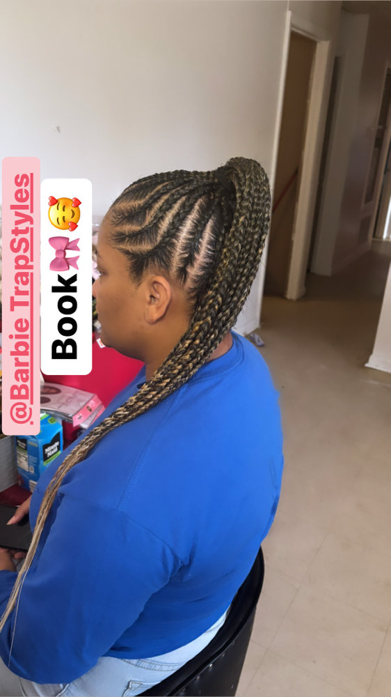 Braided Ponytail