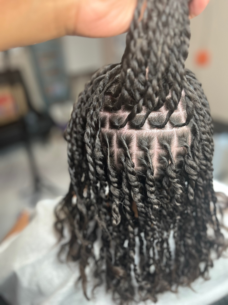 Starter 2 Strand Locs