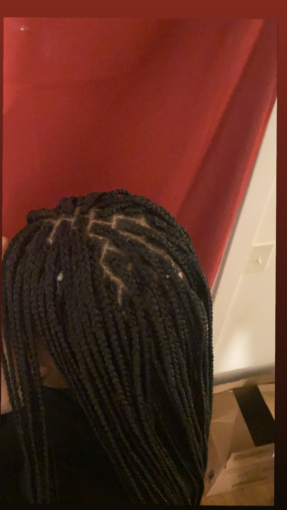 Small Traditional Braids