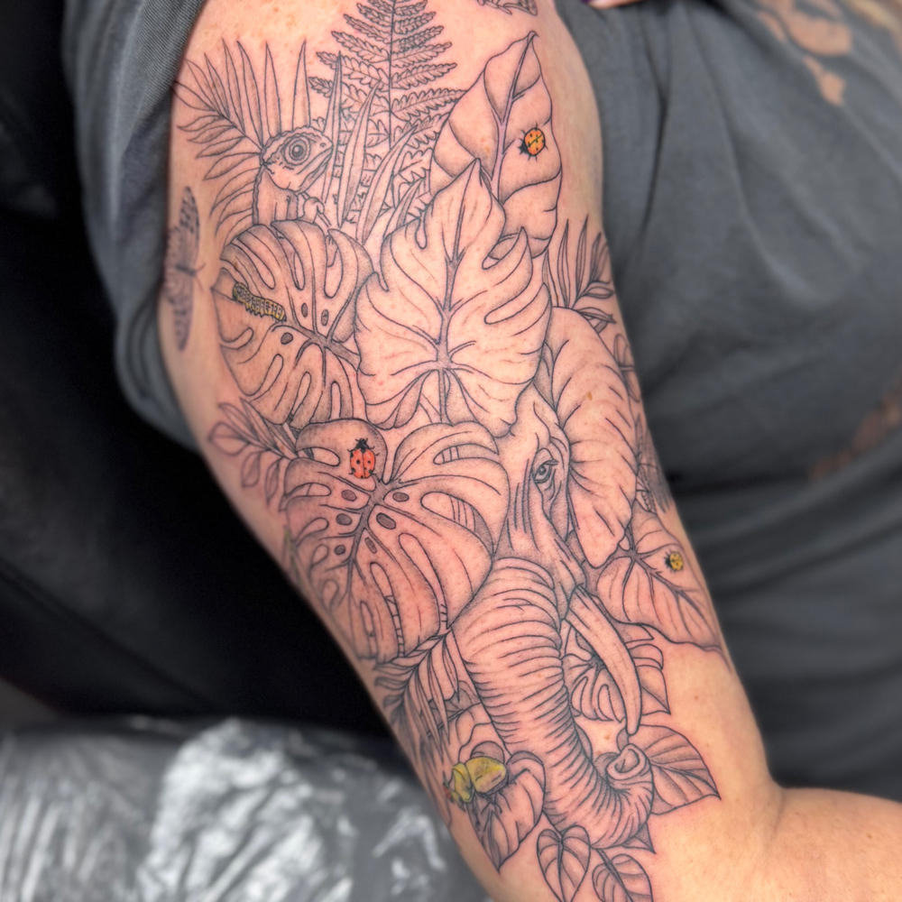 All Day Session at Sol Ink in Evansville, IN