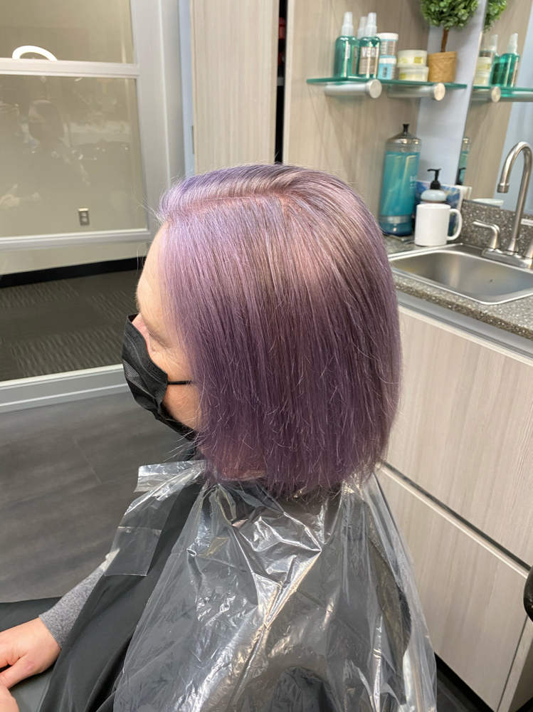 5 Week Root Touch Up at Studio Fresh Hair & Brow in Bellingham, WA