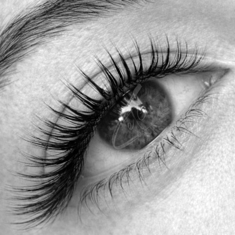 Wet Set Lash Extensions at lashes, etc. beauty bar in Dallas, TX
