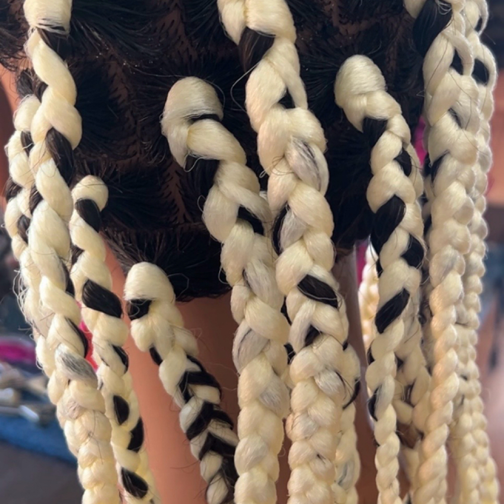 Medium Box Braids/Waist Length at SC Signature Hair Salon in Vestavia Hills, AL