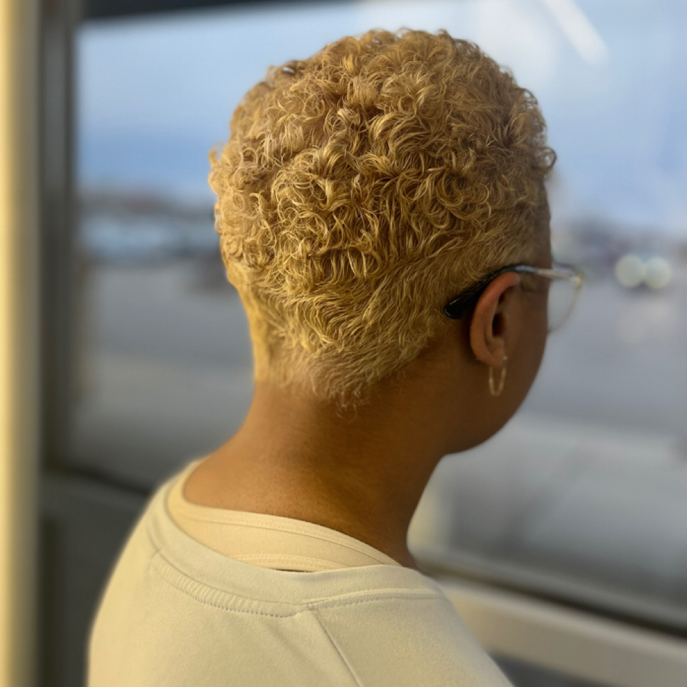 Total Blonde at L S STUDIO in Livonia, MI