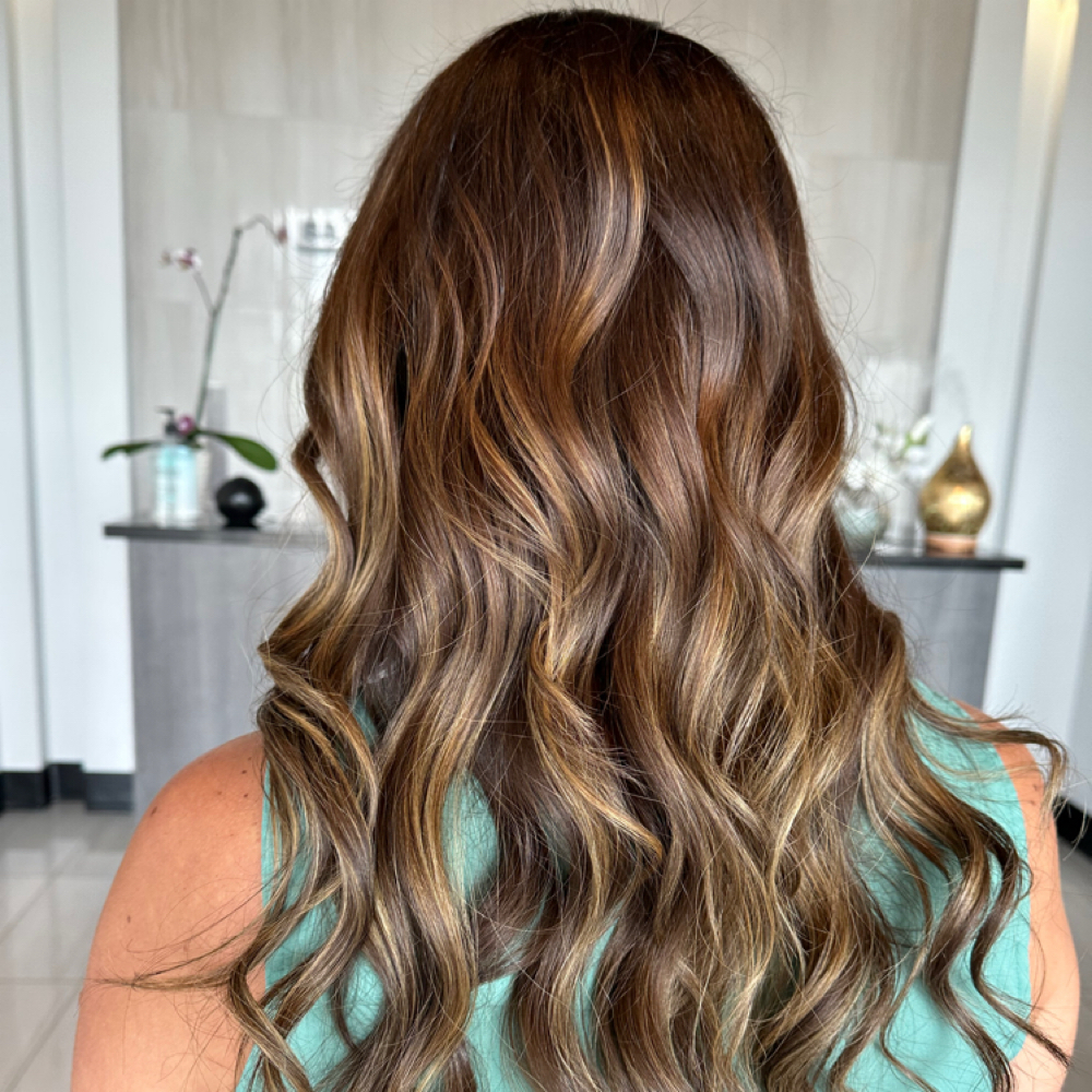 New Guest Dimensional Color at Joyful Beauty LLC in Brandon, FL