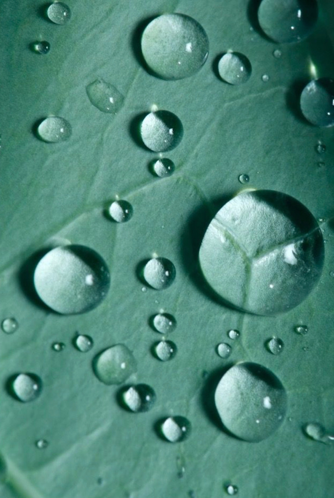 The Moment Of Clarity at Italy Marie Aesthetics in Dallas, TX