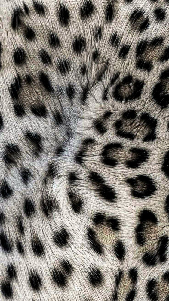 LIVED-IN COLOR TRANSFORMATION