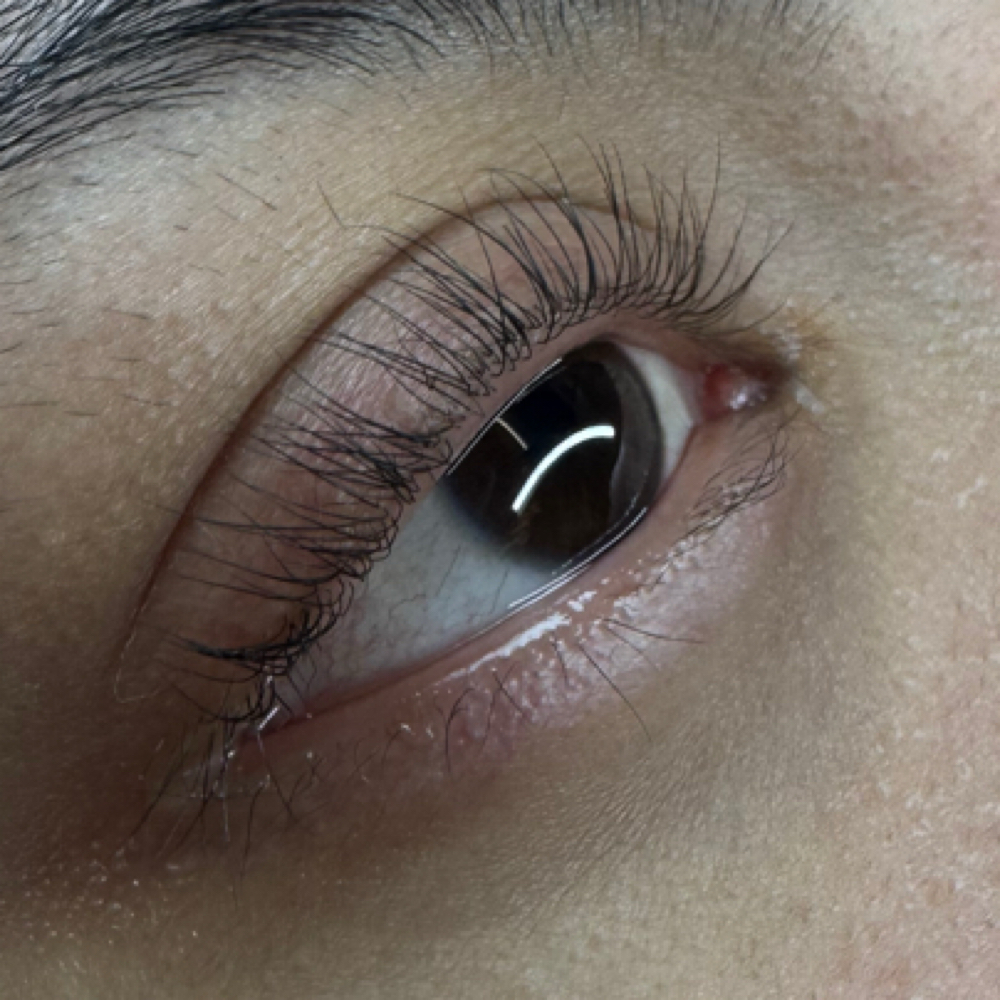 Korean Lash Lift (No Tint) at Lumina Beauty Aesthetics in Medford, MA