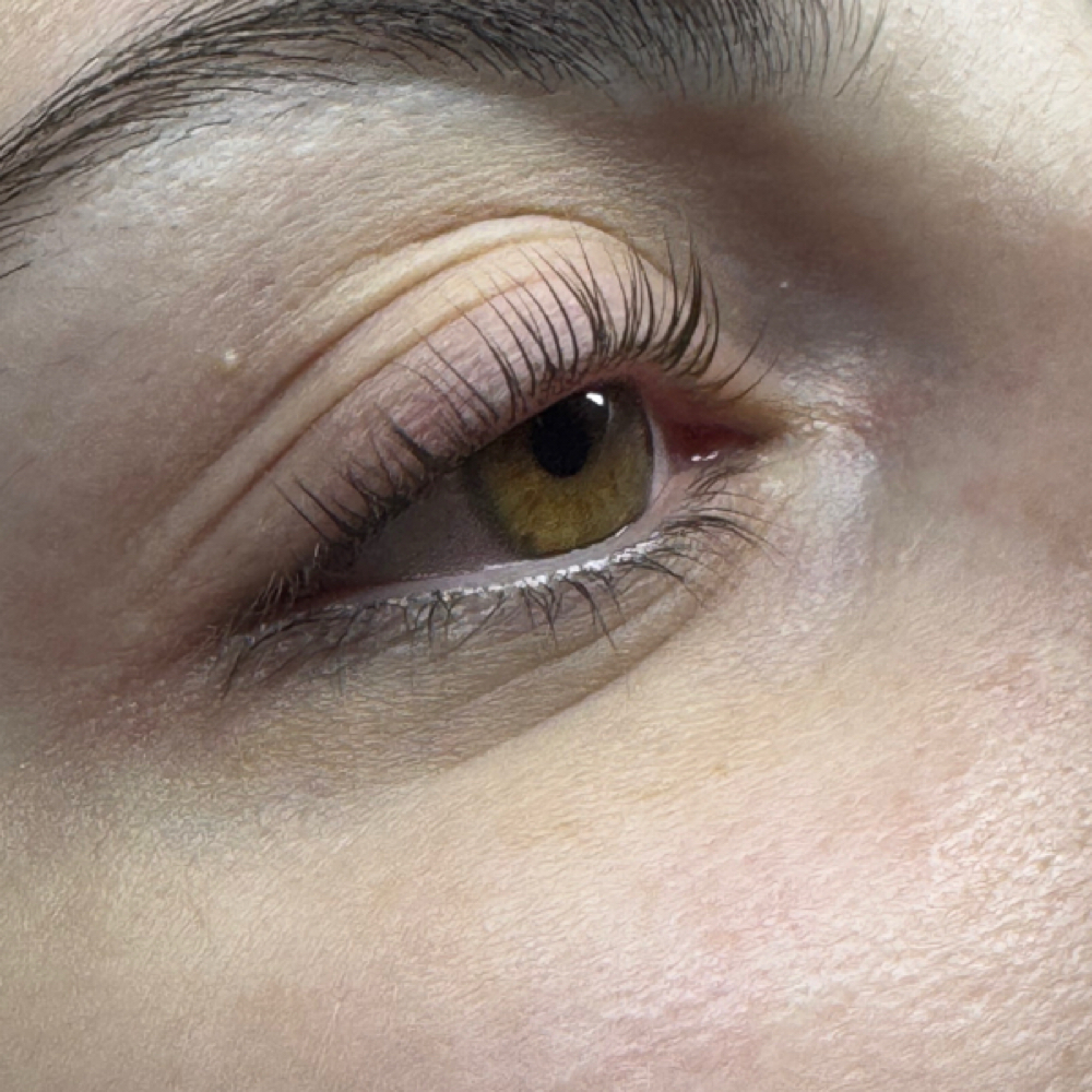 Korean Lash Lift (No Tint) at Lumina Beauty Aesthetics in Medford, MA