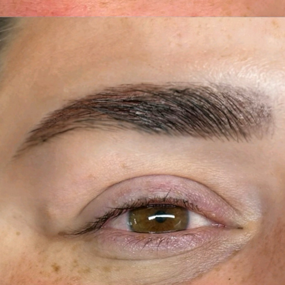 Hybrid Brow Tinting at Dye Pretty Artistry in Dansville, NY