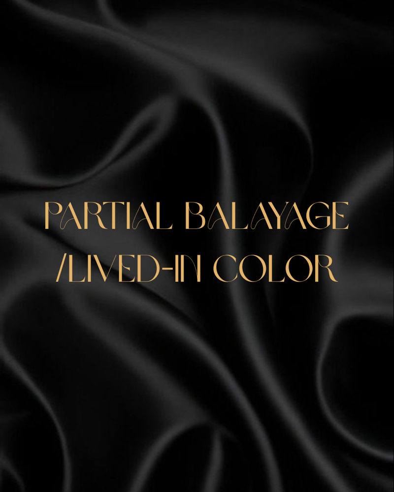 Partial Balayage/ Lived-In Color