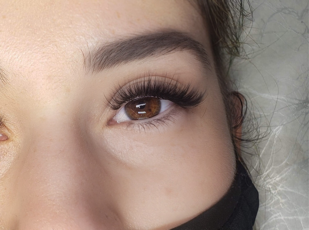 Volume Lash Extension