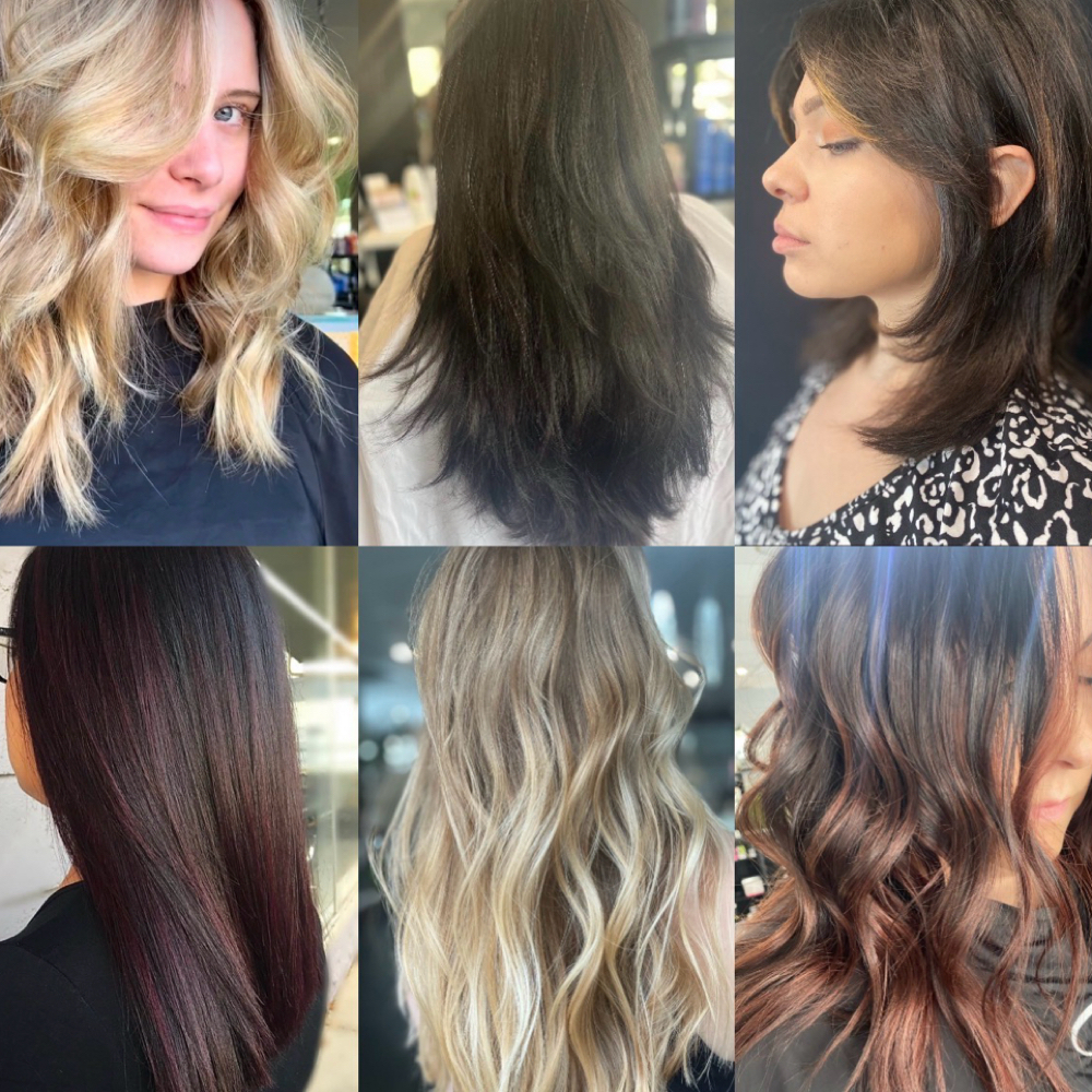 {NEW GUEST} Haircut at Luminous Salon-Brittany Gianotti in Corvallis, OR