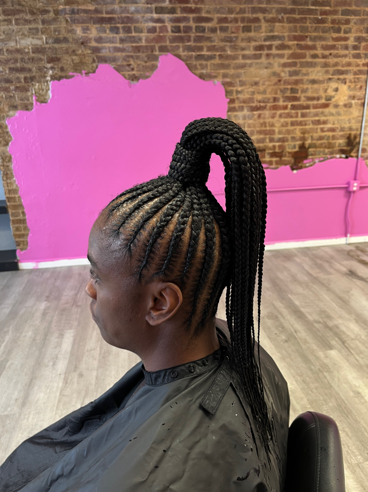 Braid Ponytail