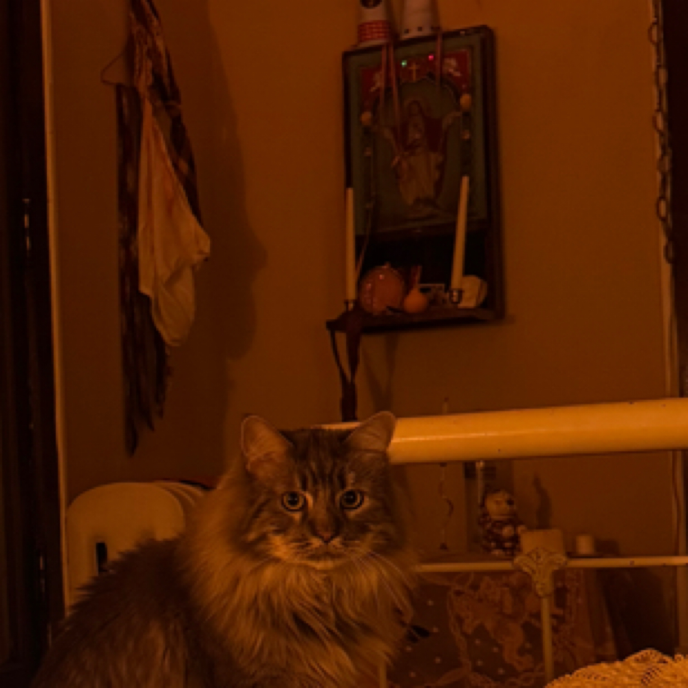 refresh specialty color