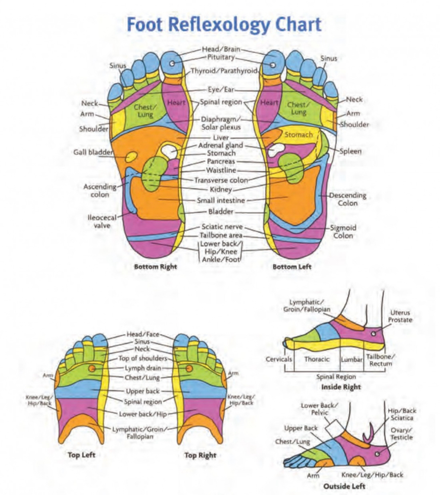 Reflexology Feet