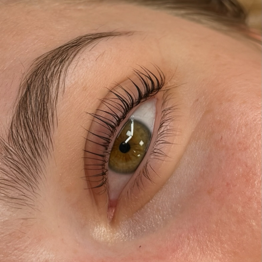 Korean Lash Lift + Tint at The Cardinal Skin Studio in Sioux Falls, SD