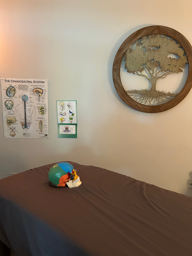 CranioSacral Therapy