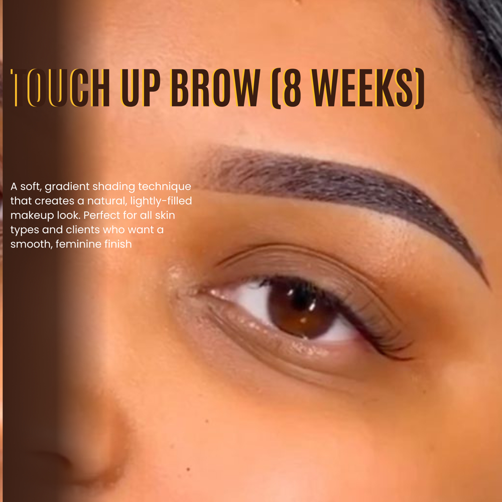 First Touch Up (6-8 Weeks) at Christina brows in Monroe, GA