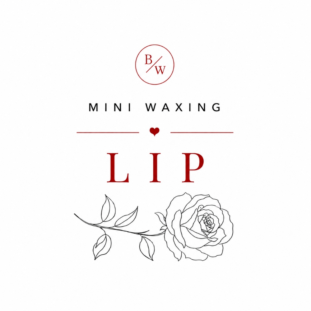 LIP at Book Your Wax Appointment in Mission, KS