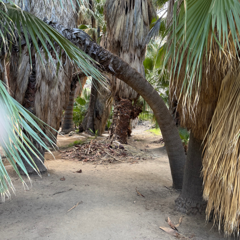 Dry Cut & Curl at Indigo Salon @ Beaumont in Lexington, KY