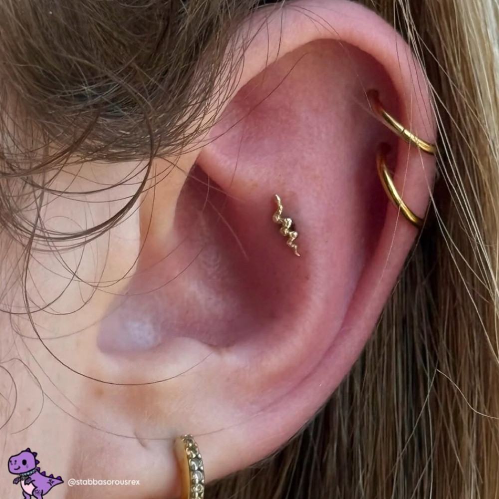 Outer Conch / Lower Flat at Vita Aurelia Piercings in Temecula, CA