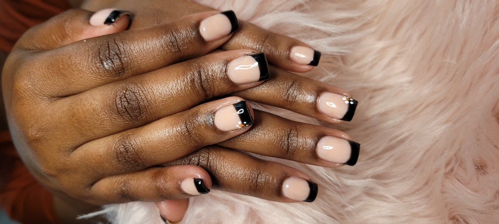 Overlay Basic Full Set (Acrylic)