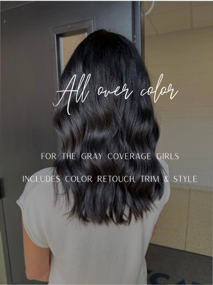 All Over Color at Hair by Kenzie in Johnson City, TN