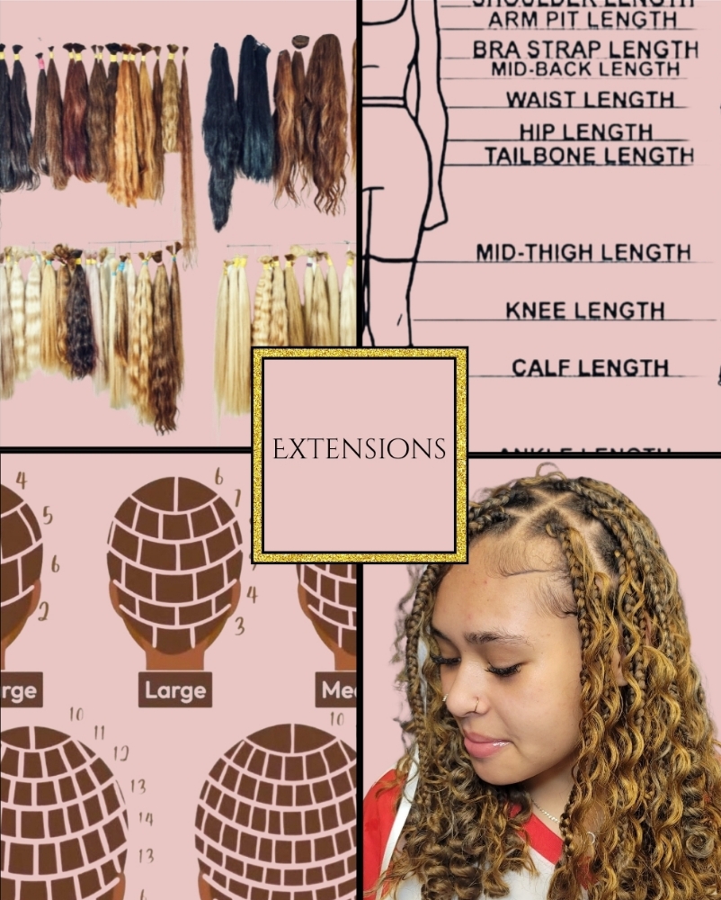 Braids With Extensions