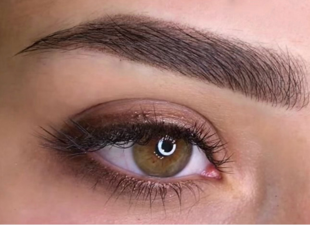 Powder Brow Technique