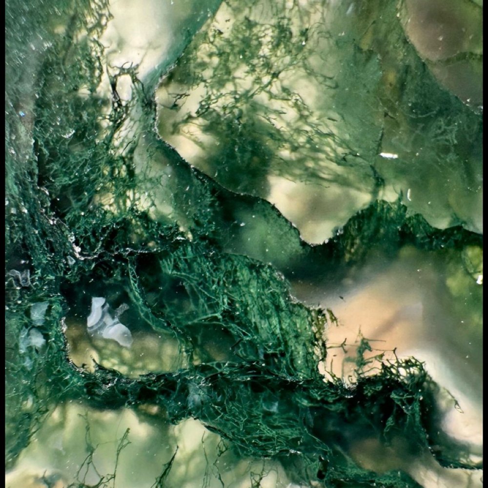 Alexxa Signature Sclupt Ritual at Alexxa Esthetic in Berkley, MI