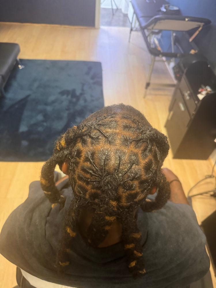 Dreads wash,retwist & style whole