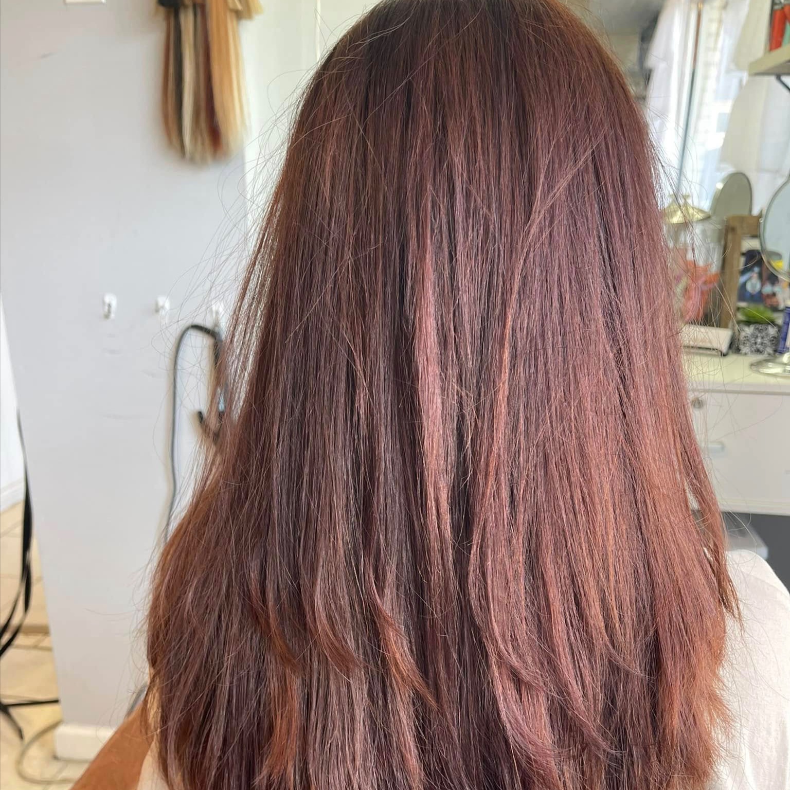 All Over Solid Color at The Mane Room in Stamping Ground, KY