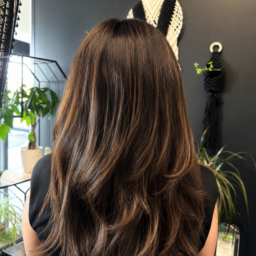 All-Over Color Gloss + Haircut at Lisa V Hair & Makeup Studio in Fresno, CA