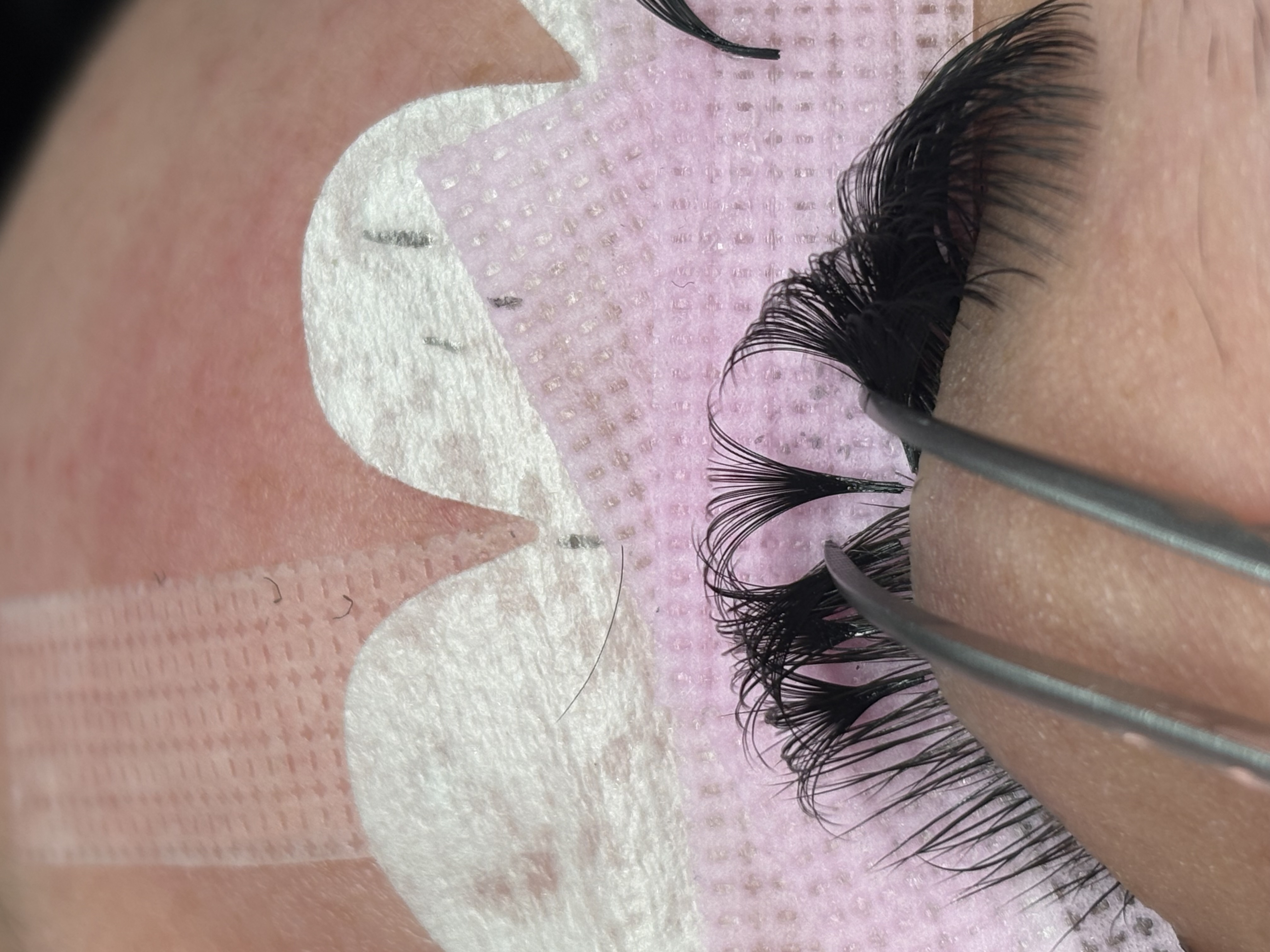 Lash Refill at Born Beaute in Mission, TX