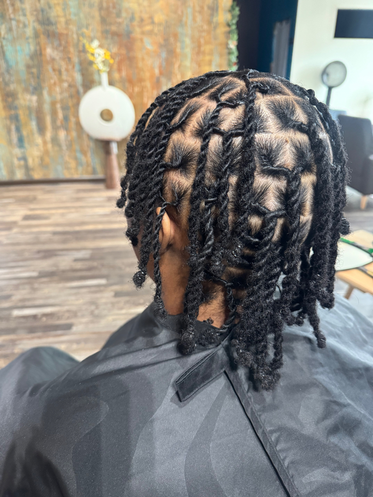 Full Head Starter Locs