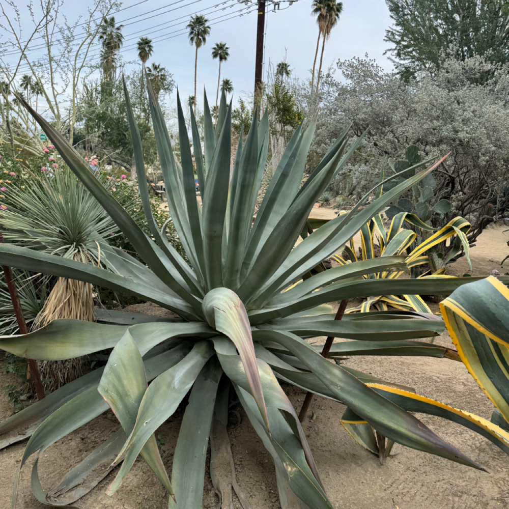 Keratherapy Smoothing Treatment at Indigo Salon @ Beaumont in Lexington, KY