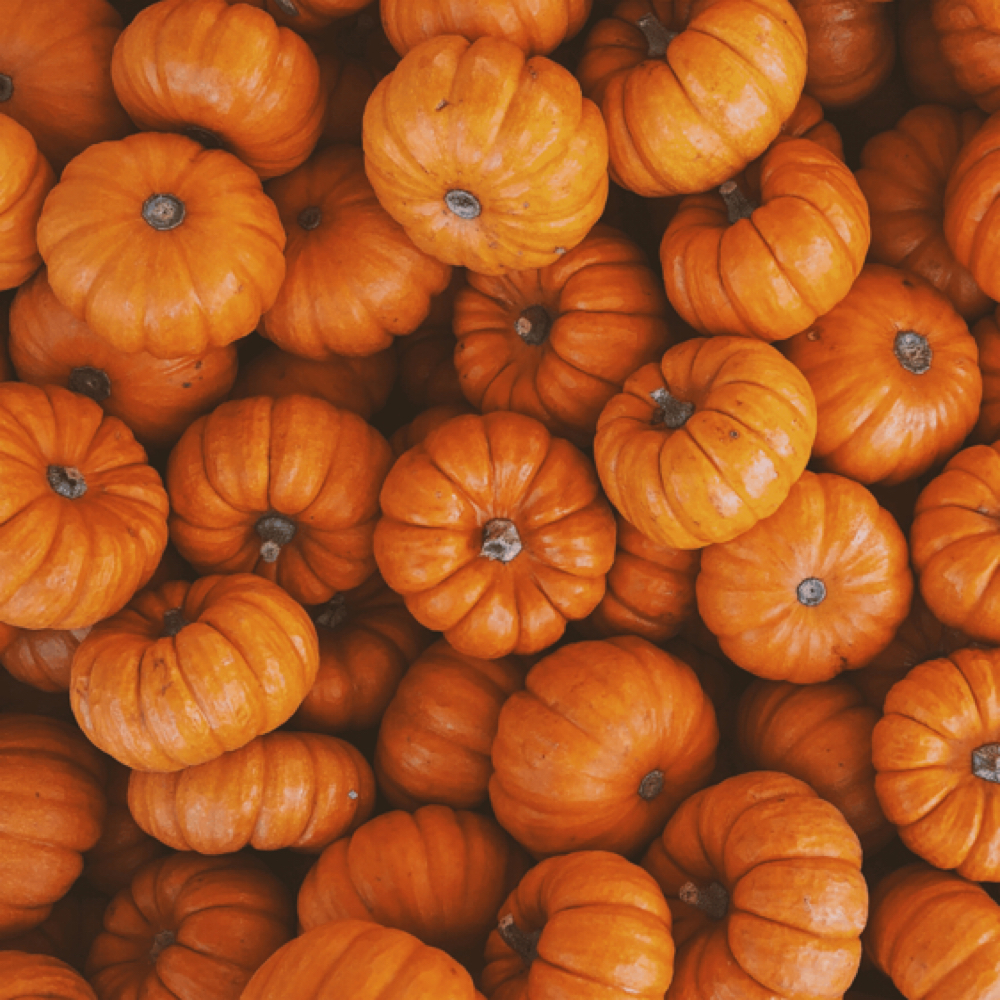 Fall Reset Facial at Luxury Aesthetics in Chattanooga, TN