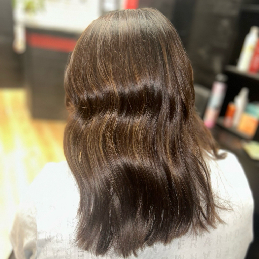All Over Color + Haircut at Rootz Salon in Dundee, MI