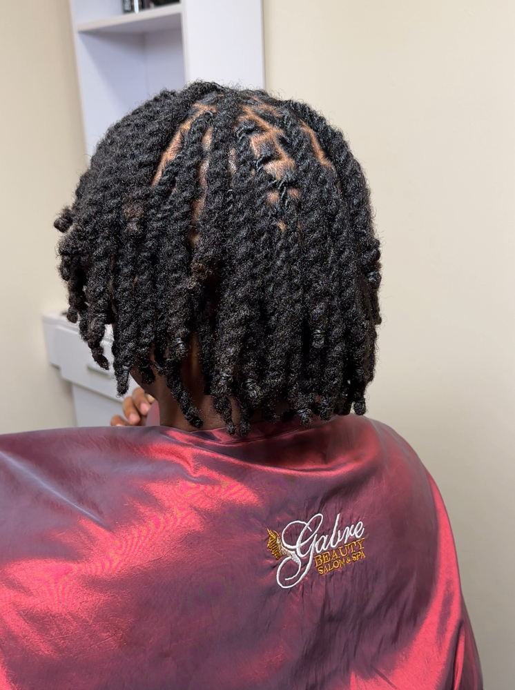 Two Strand Twist Style Add-On